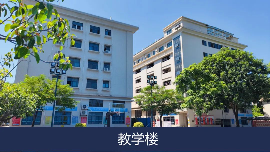 微信图片_20250517091924.jpg