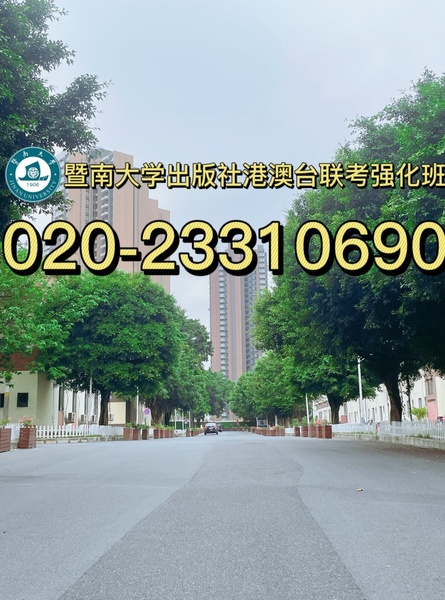 202376