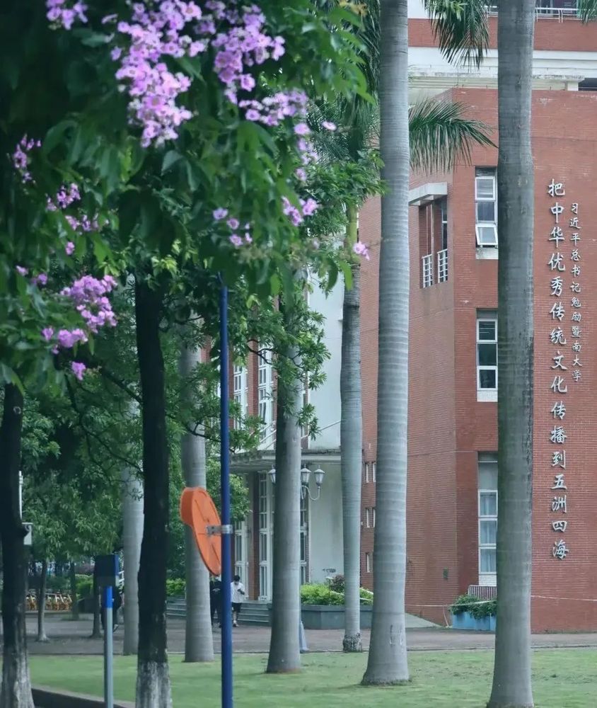 暨南大学港澳台联考  强化班&预科班对比
